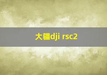 大疆dji rsc2